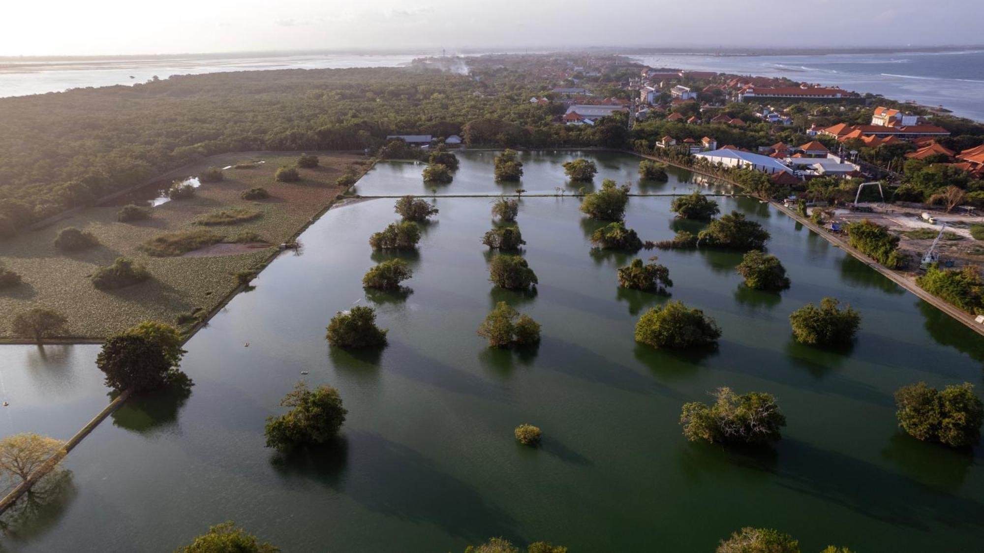 Bali Sunshine Nusa Dua Нуса Дуа Екстериор снимка
